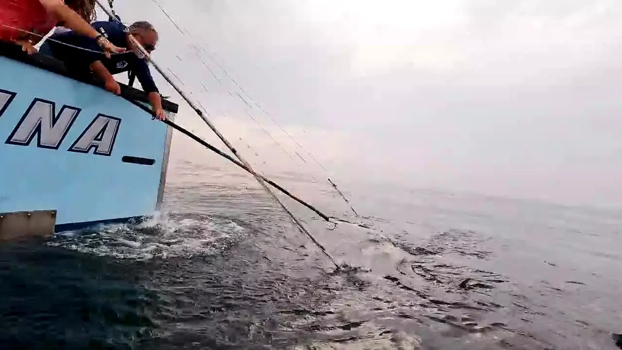Wicked Tuna en vivo