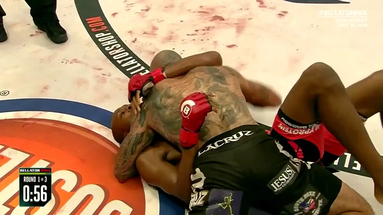 PFL MMA na żywo