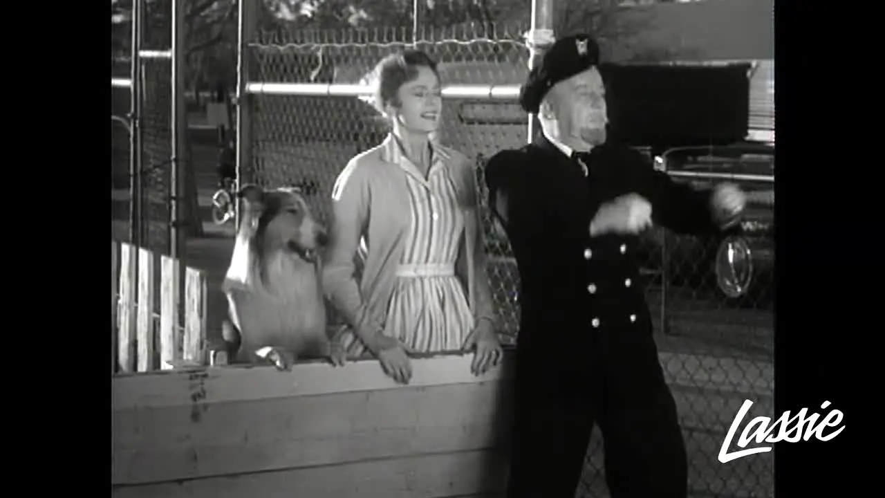 Lassie live