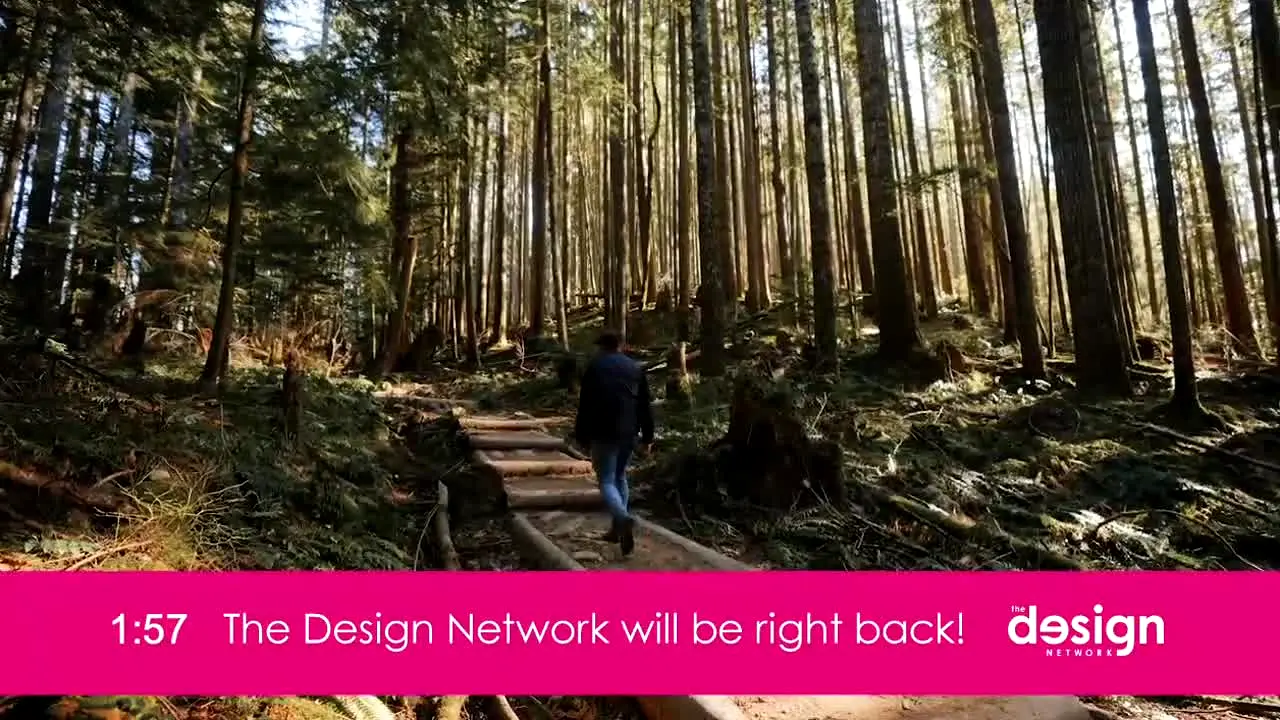 The Design Network ao vivo