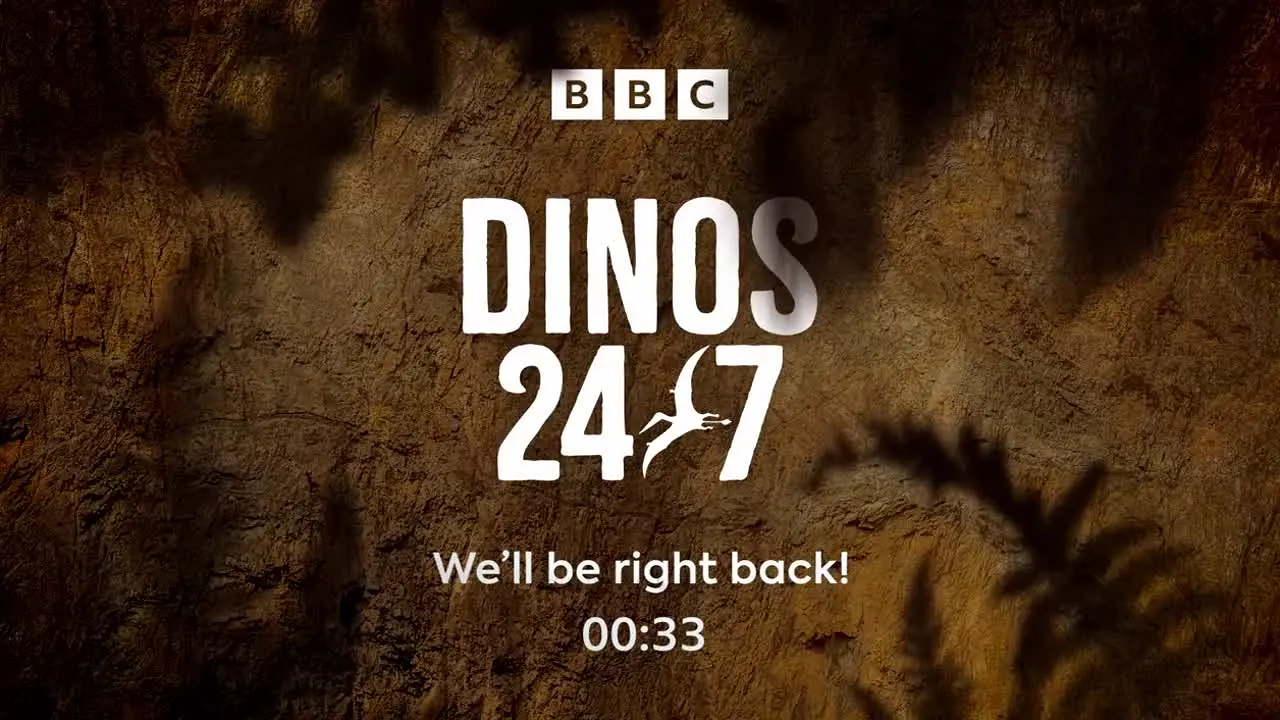Dinos 24/7 live
