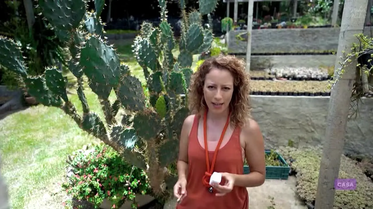 Tastemade Casa na żywo
