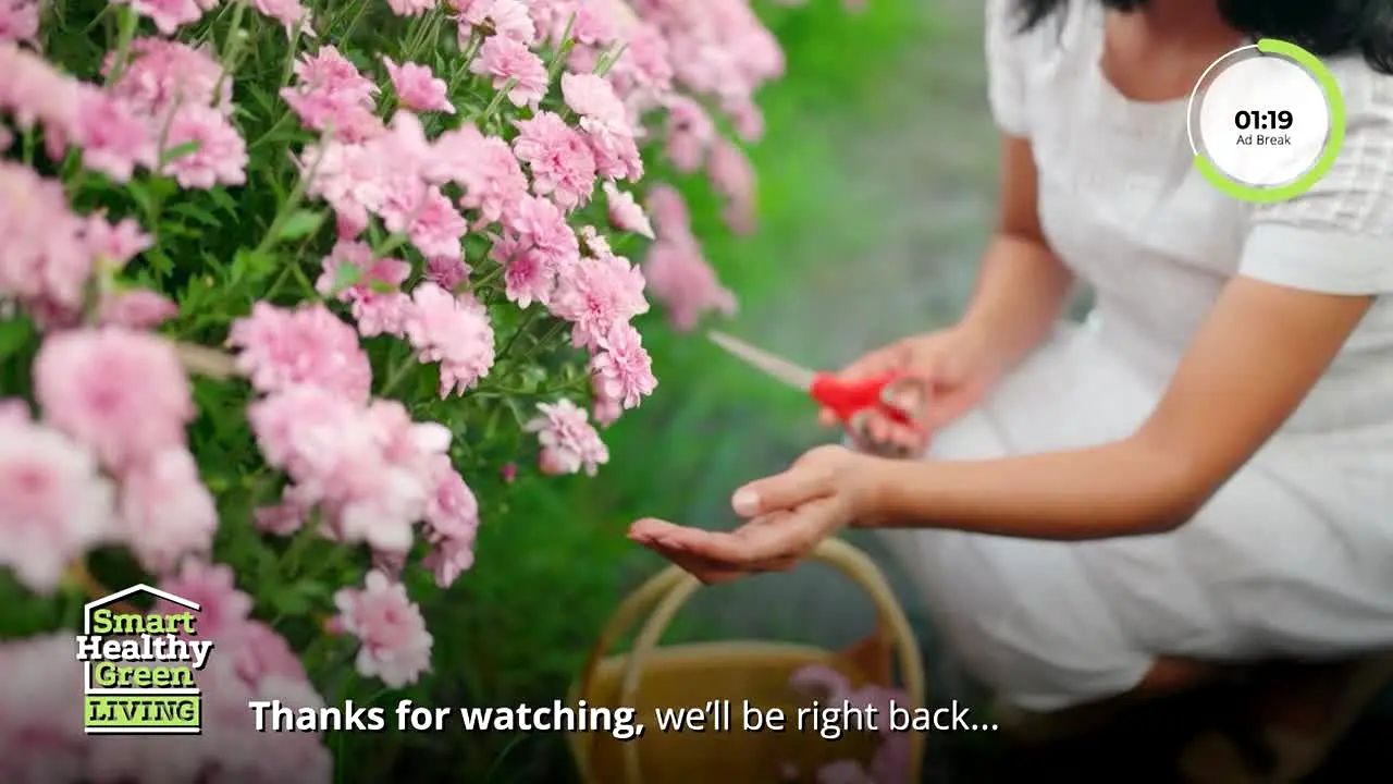 Smart Healthy Green Living live