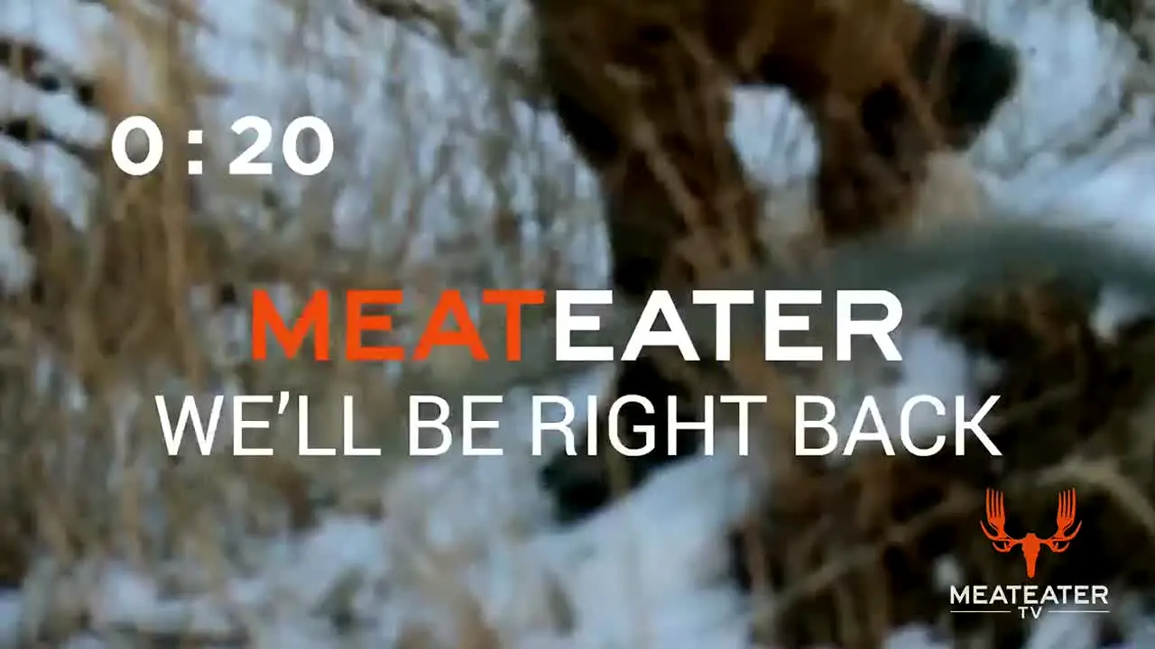 MeatEater na żywo