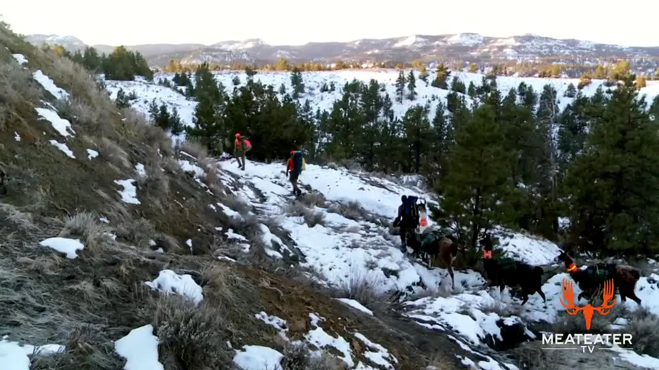 MeatEater live