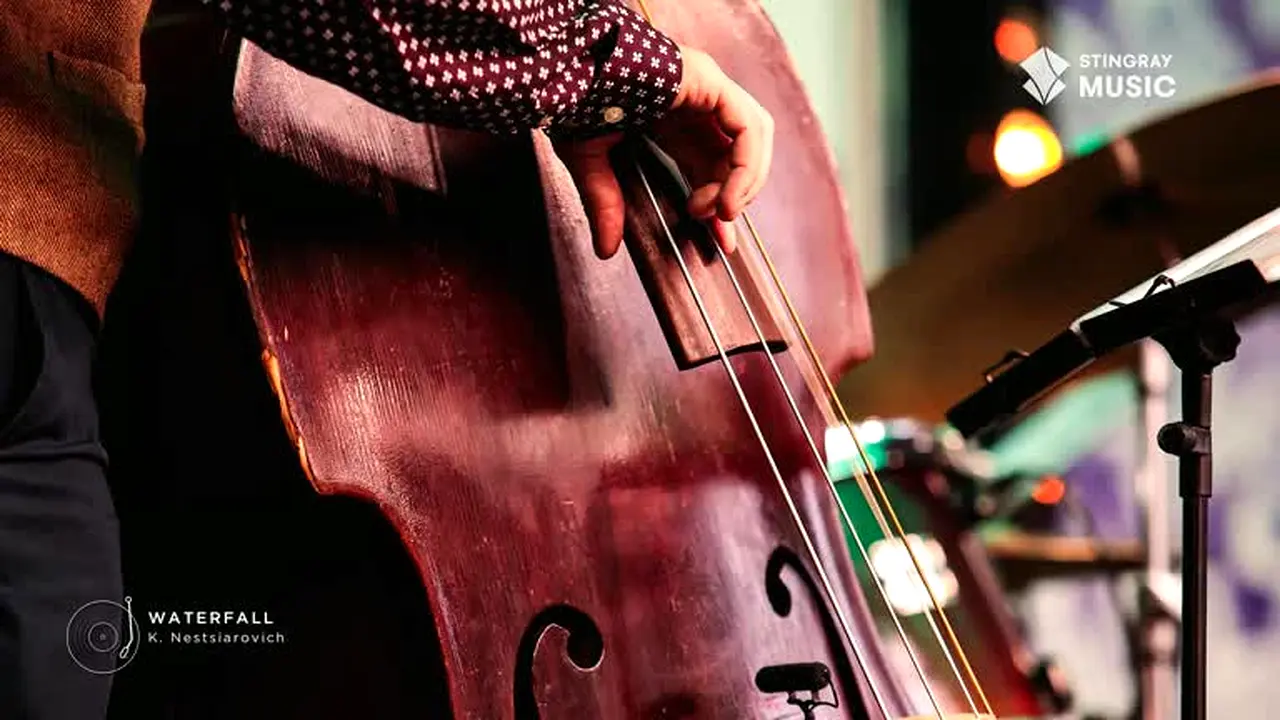Stingray Easy Listening live