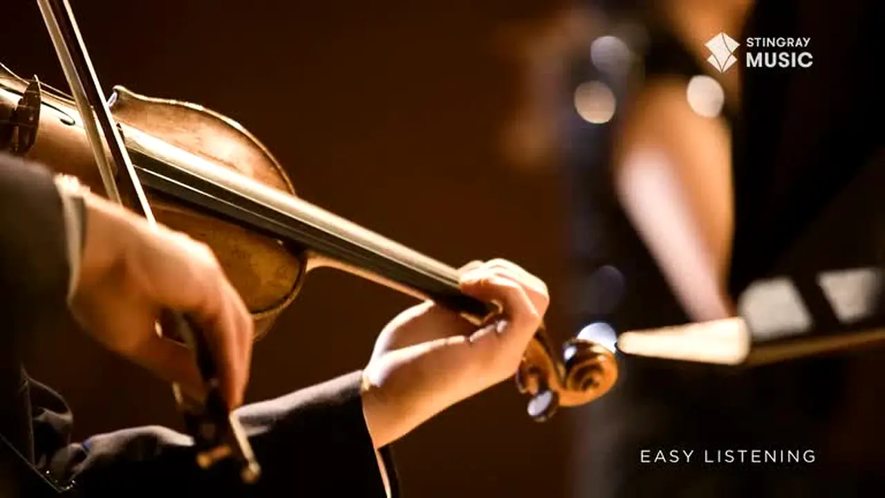 Stingray Easy Listening live