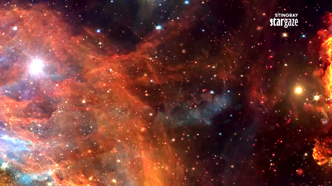 Stingray Stargaze ao vivo