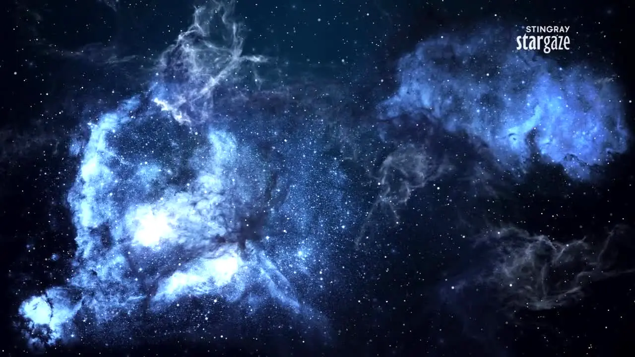 Stingray Stargaze en vivo