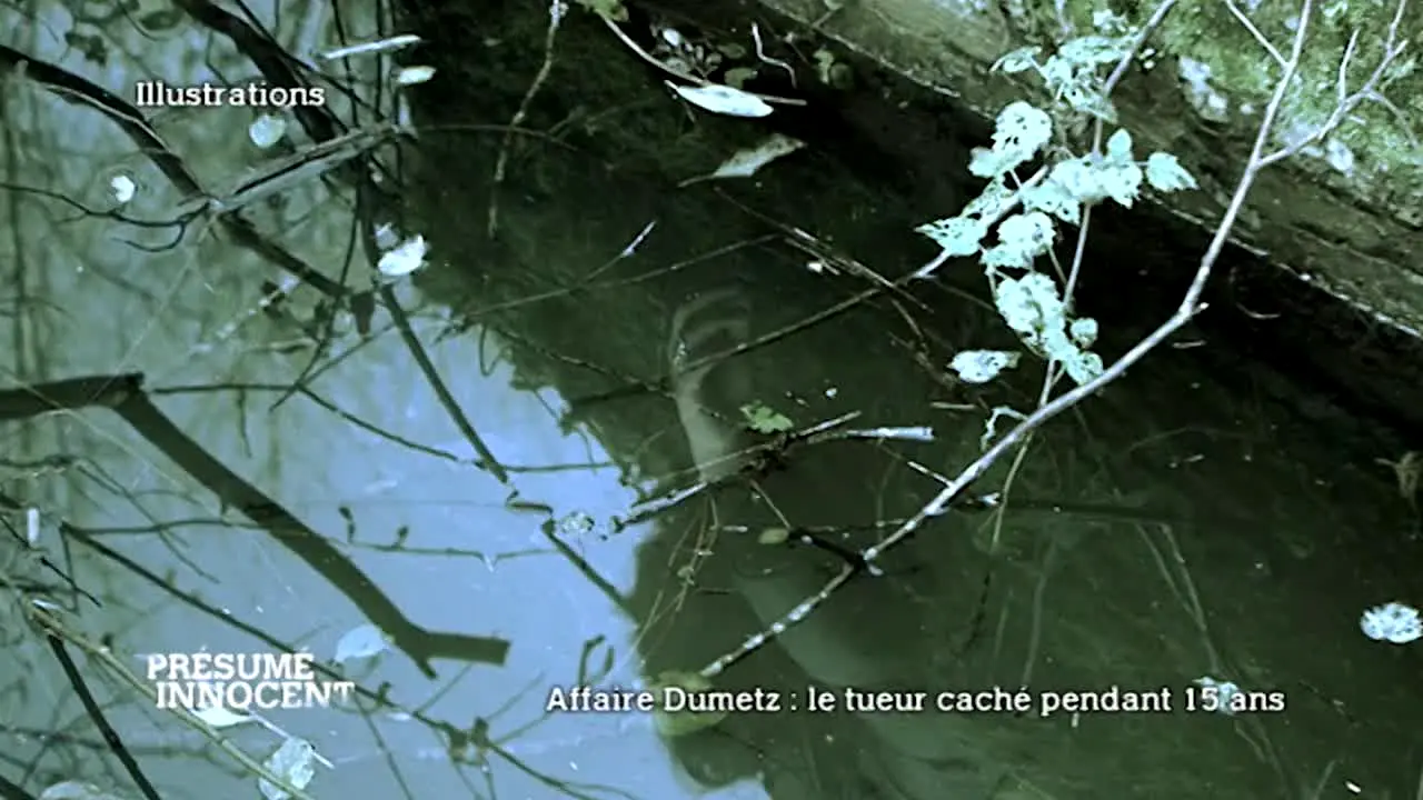 True Crime by Pluto TV live