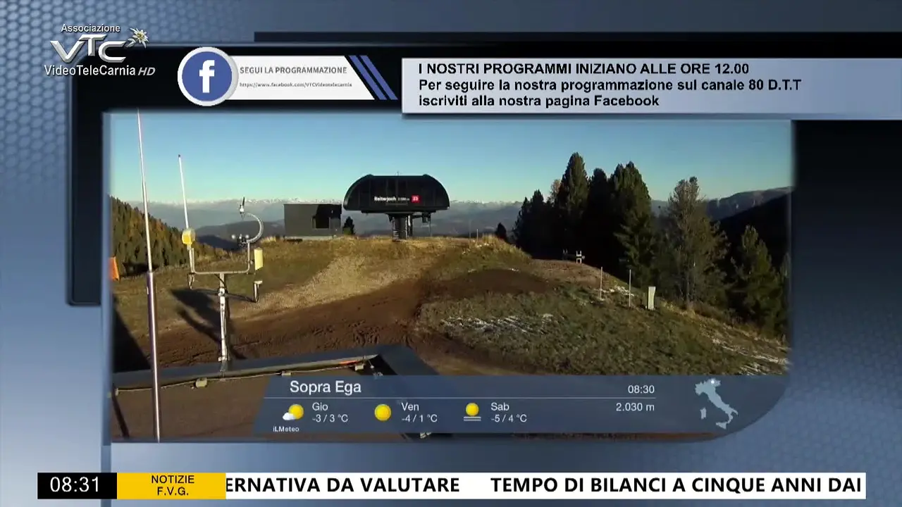 Videotelecarnia live