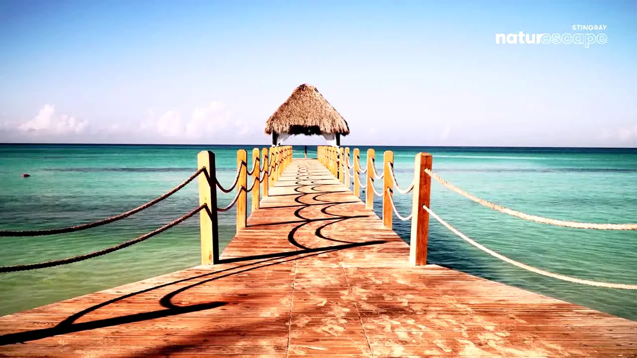 Pluto TV Paisagens por Stingray live
