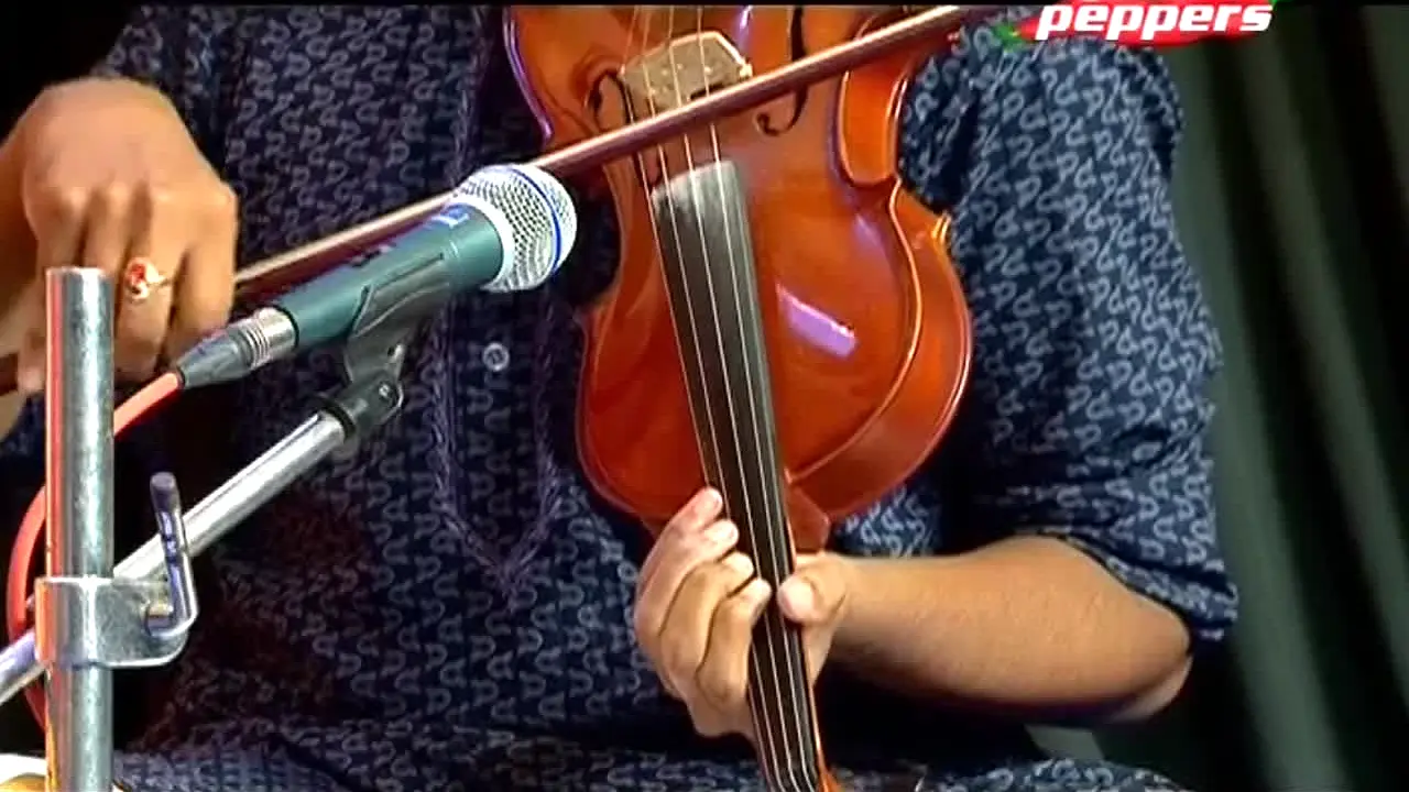 Peppers TV live