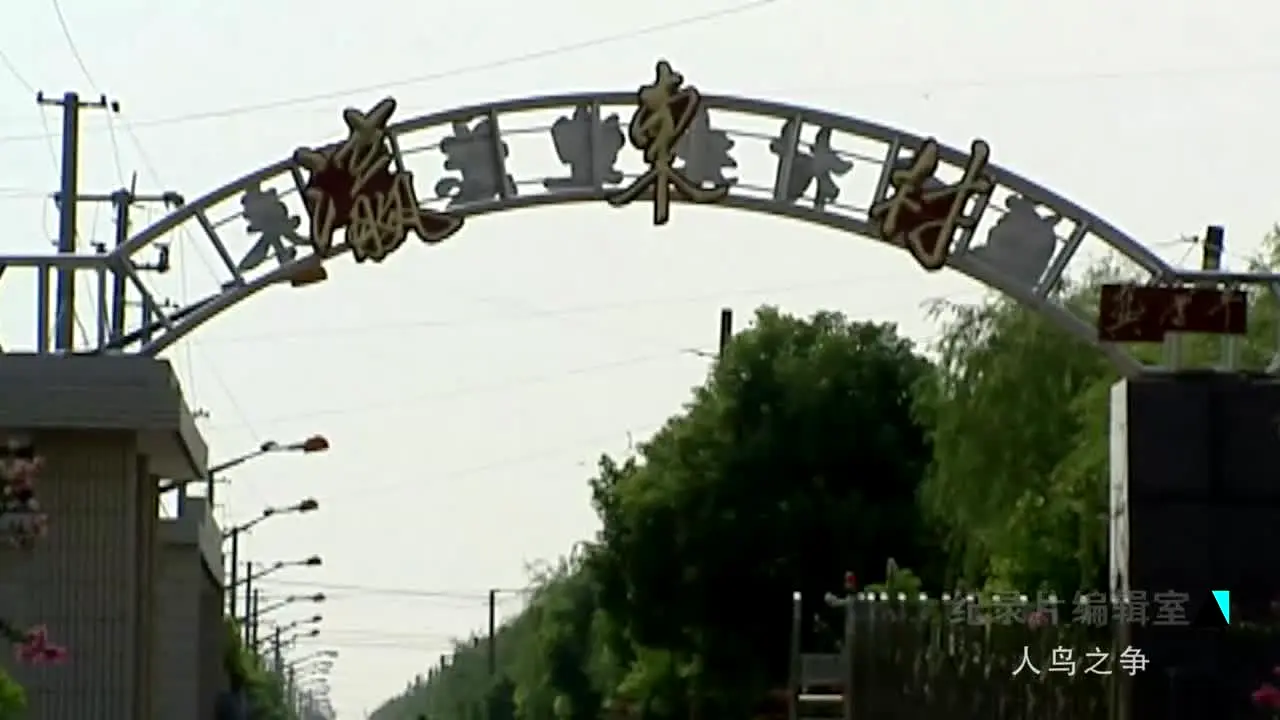 Shanghai en vivo
