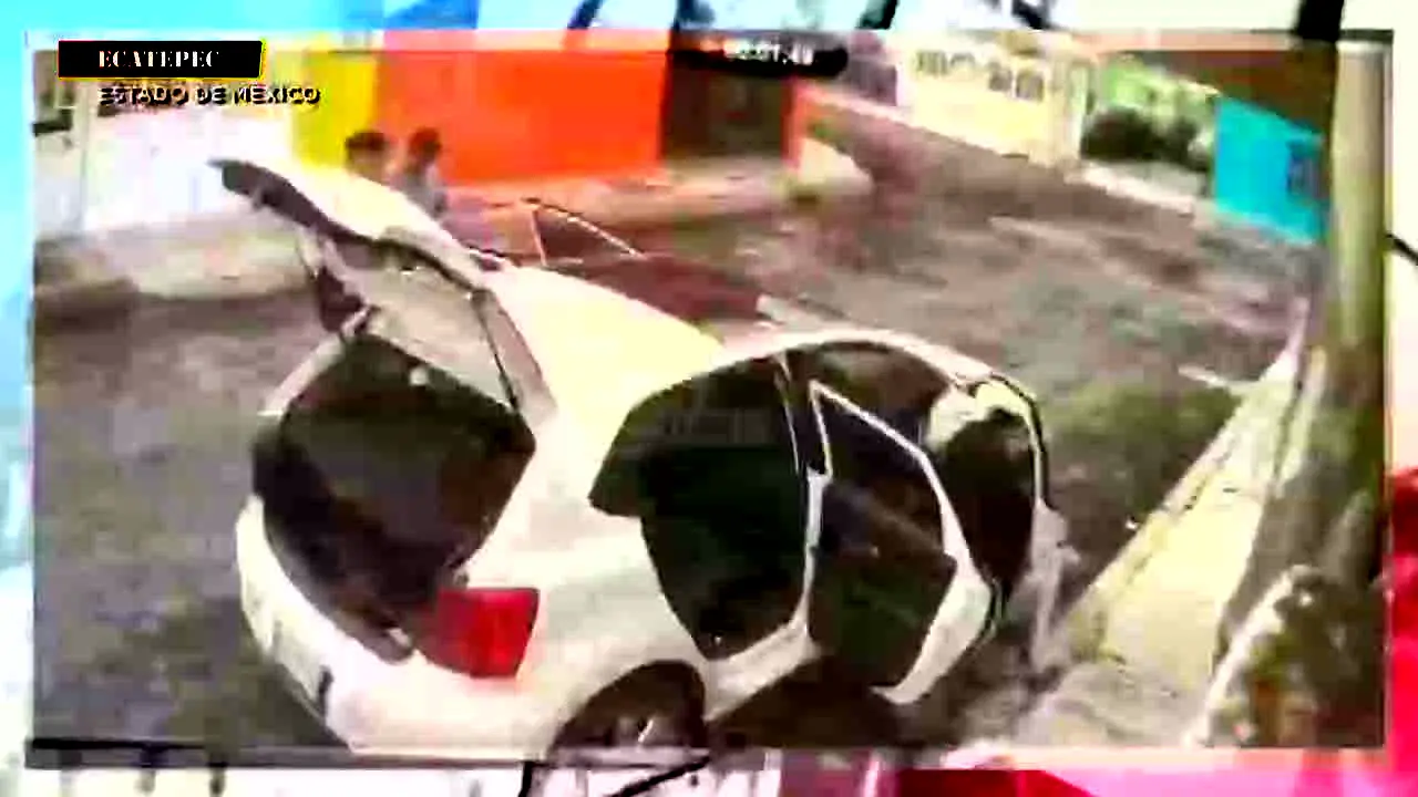 C4 en Alerta live