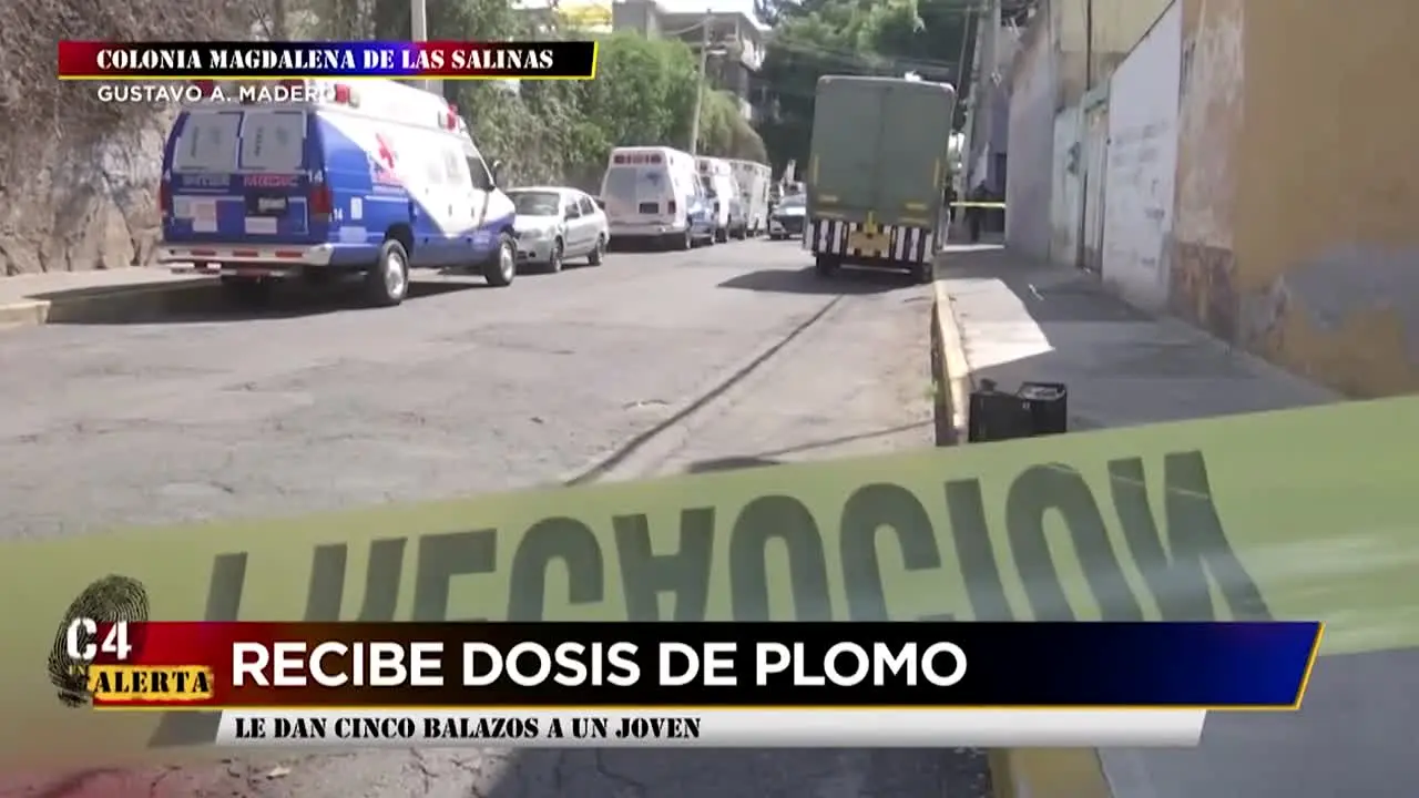 C4 en Alerta in diretta