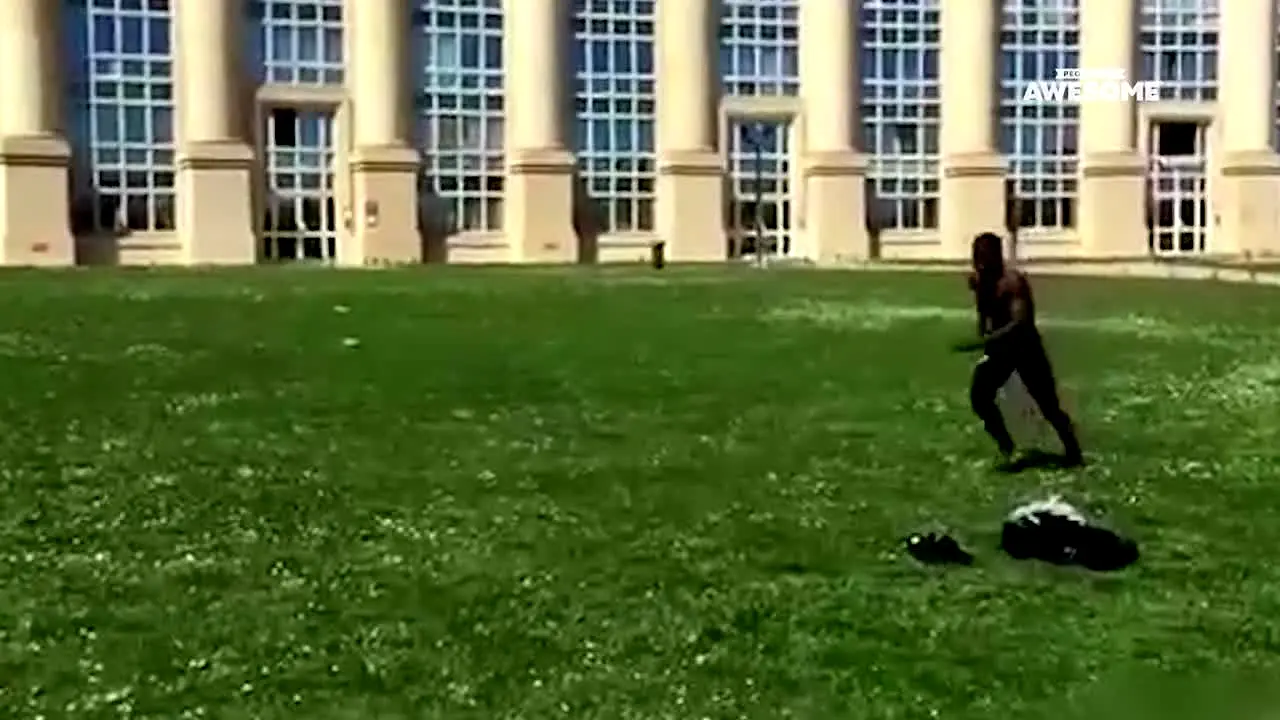 People Are Awesome live