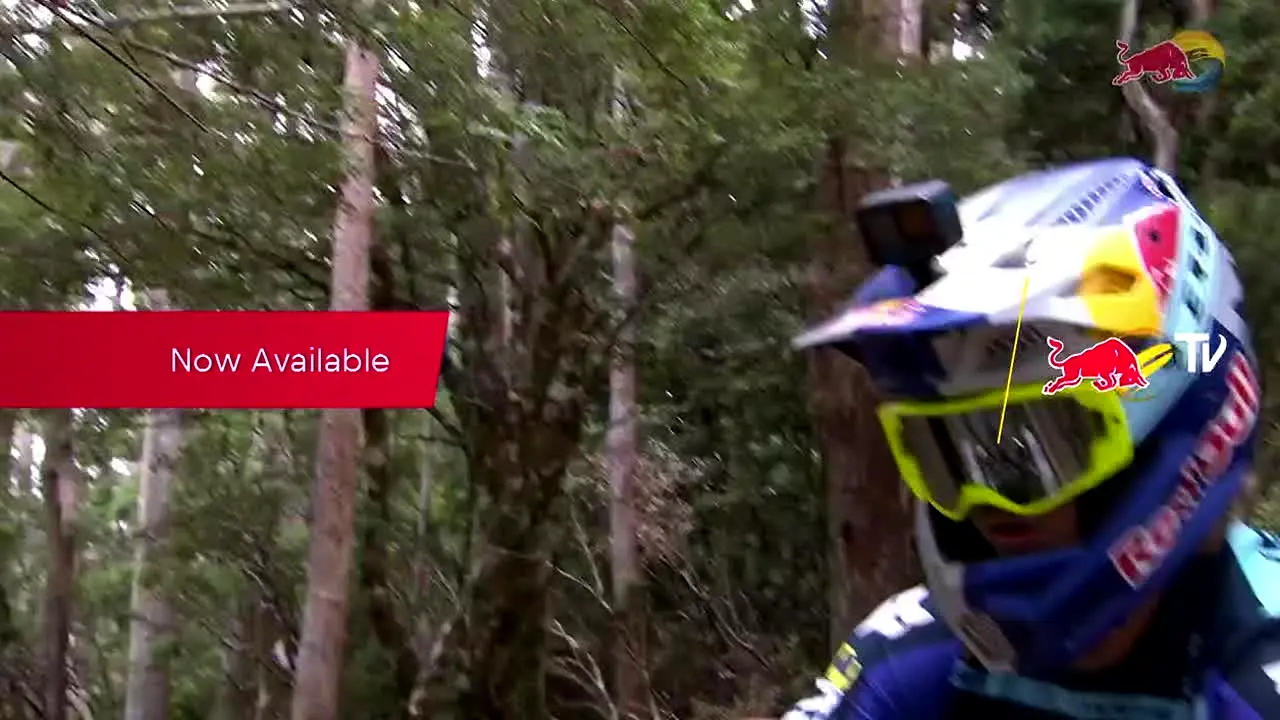 Red Bull TV live