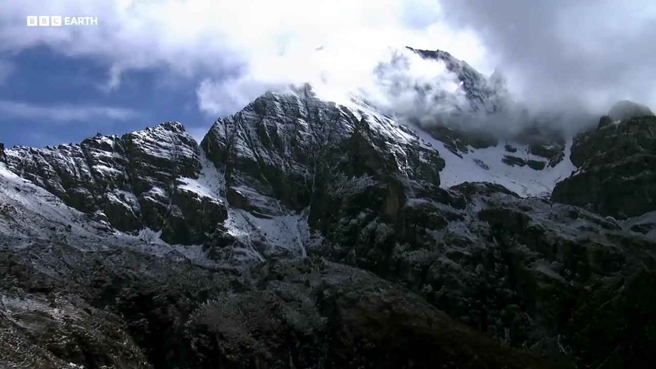 BBC Earth live