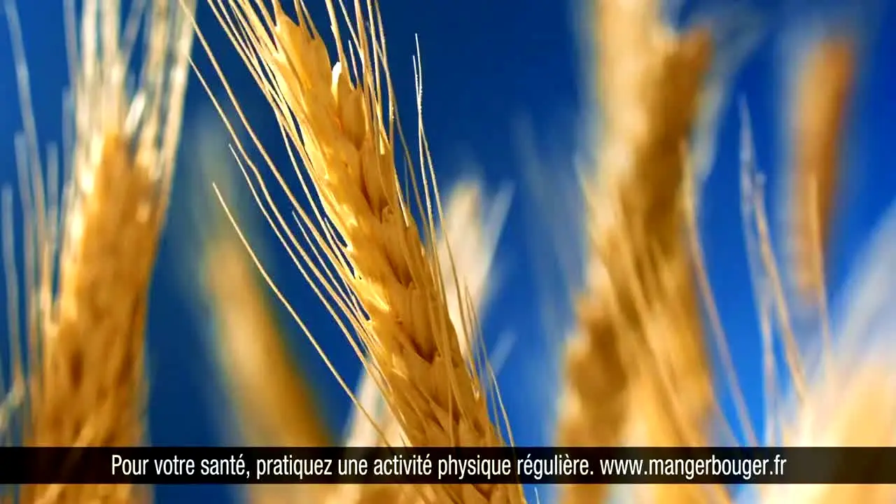 TMC na żywo