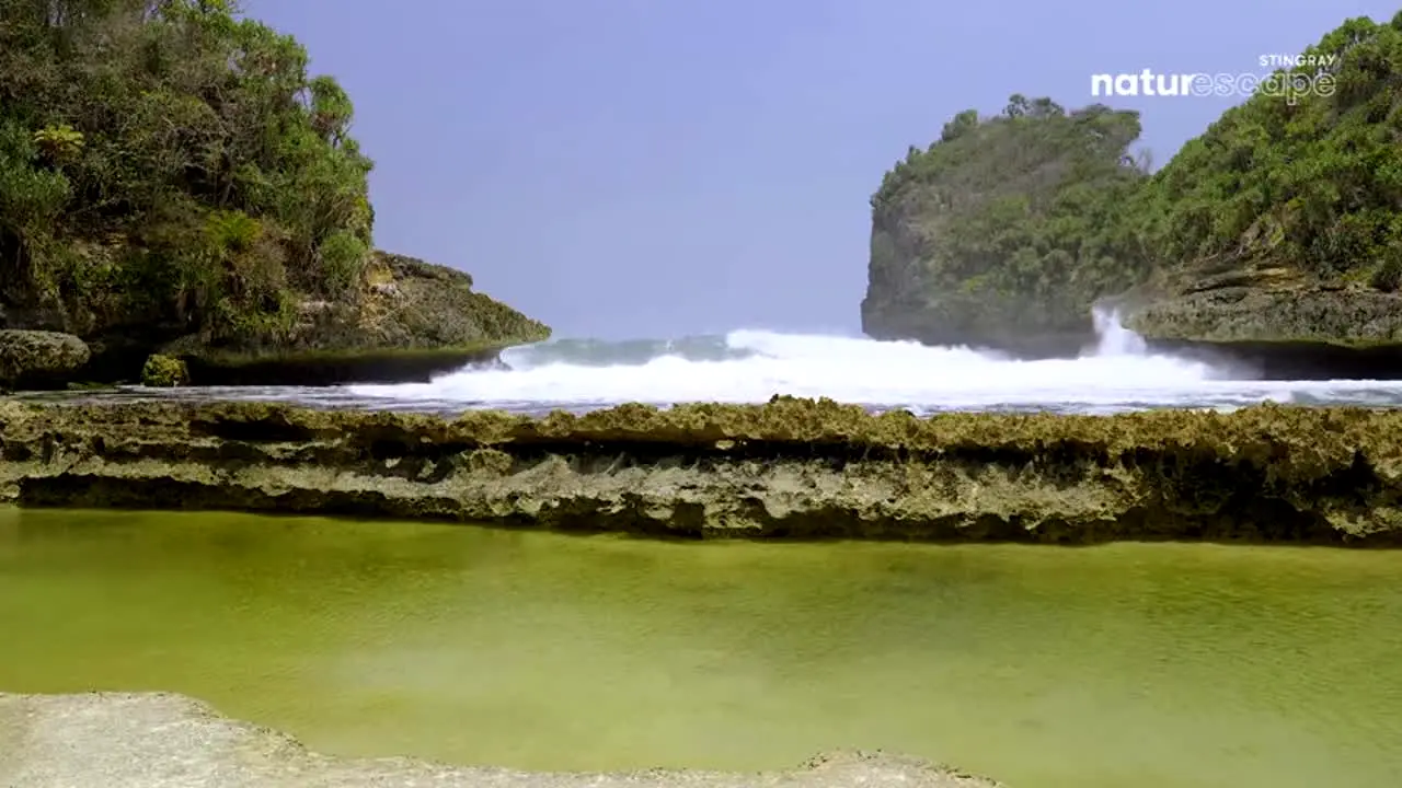 Naturescape live