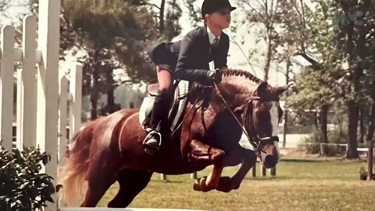 Horse and Country live