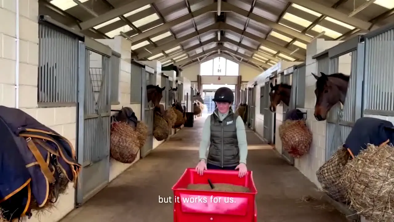 Horse and Country live