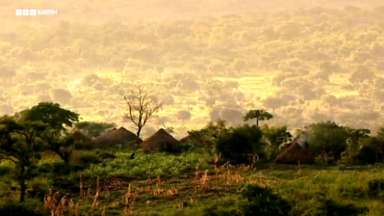 BBC Earth — прямой эфир