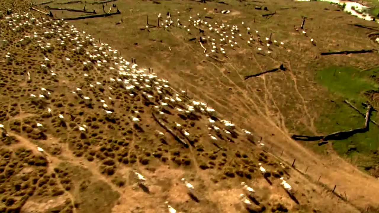 Tierwelt live