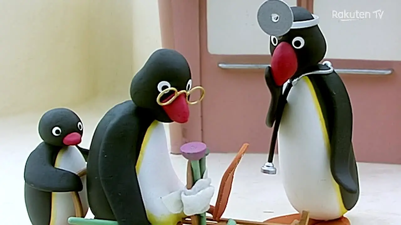 Pingu en vivo