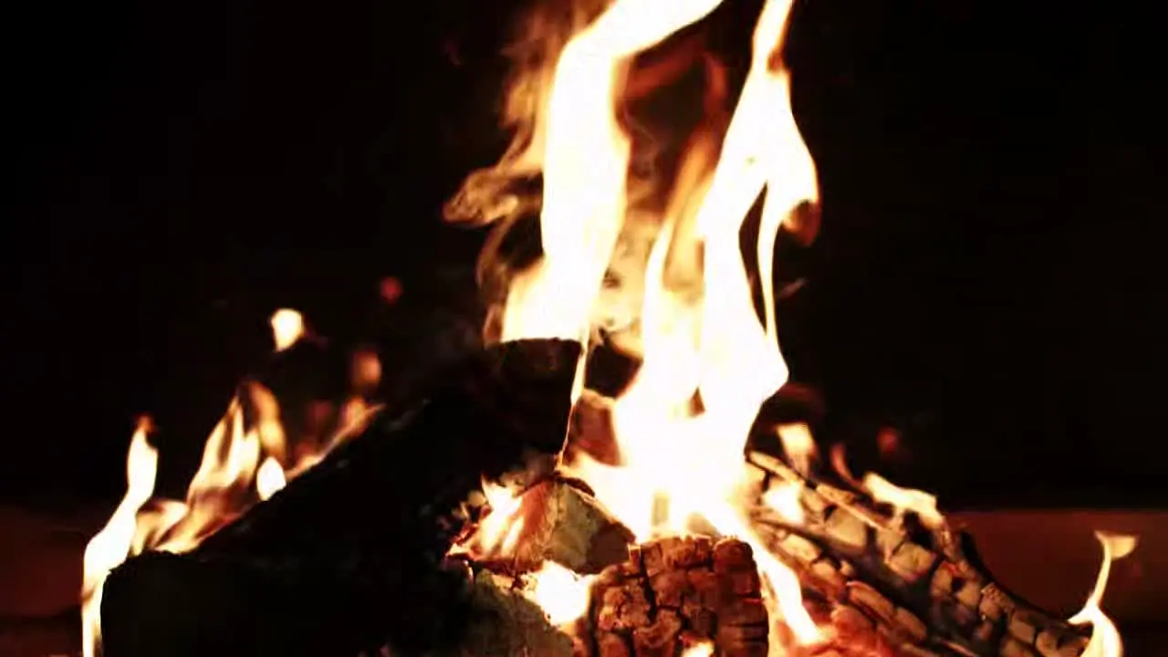 Fireplace Vibes live