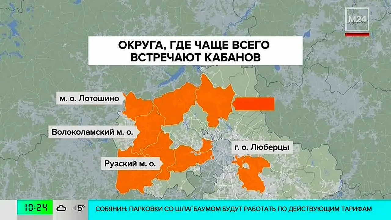 Москва 24 in diretta