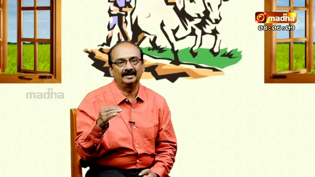 Madha TV live
