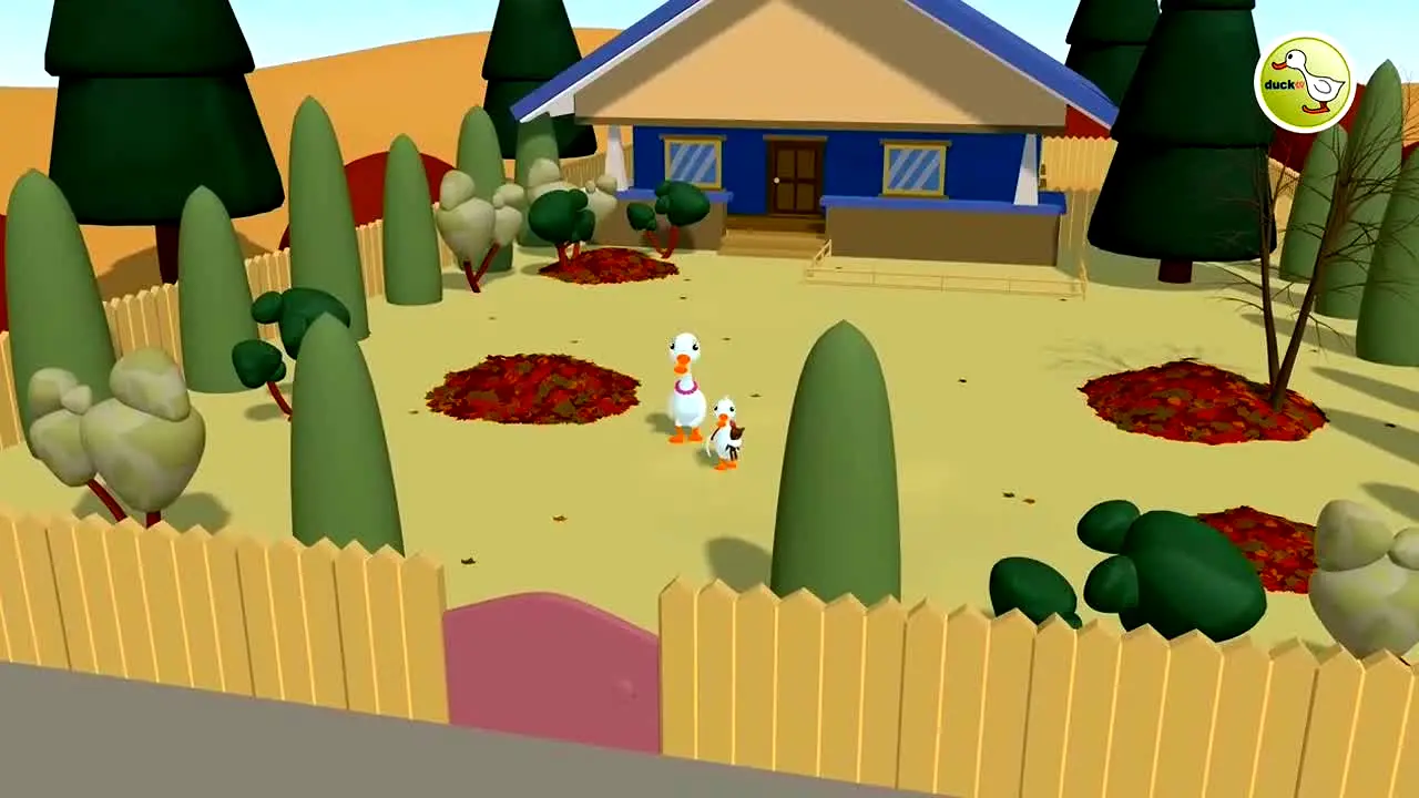 ducktv live