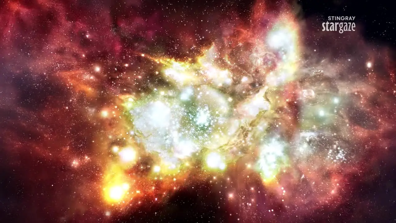 Stingray Stargaze — прямой эфир