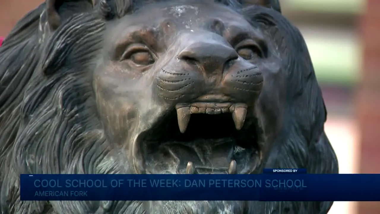 FOX 13 News live