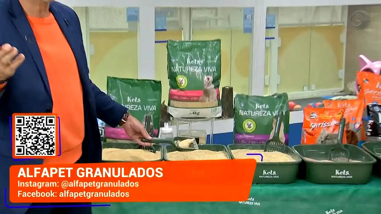TV Gazeta live