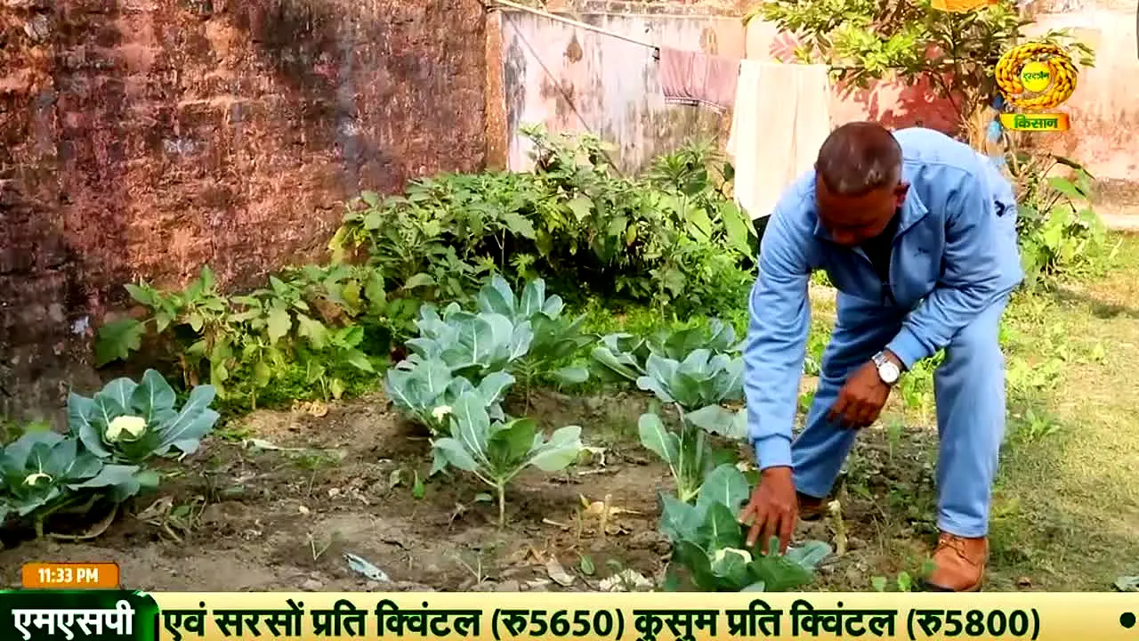 DD Kisan live
