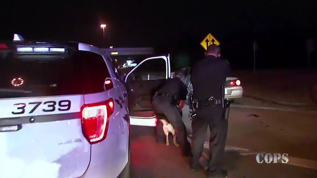 COPS en Español en vivo