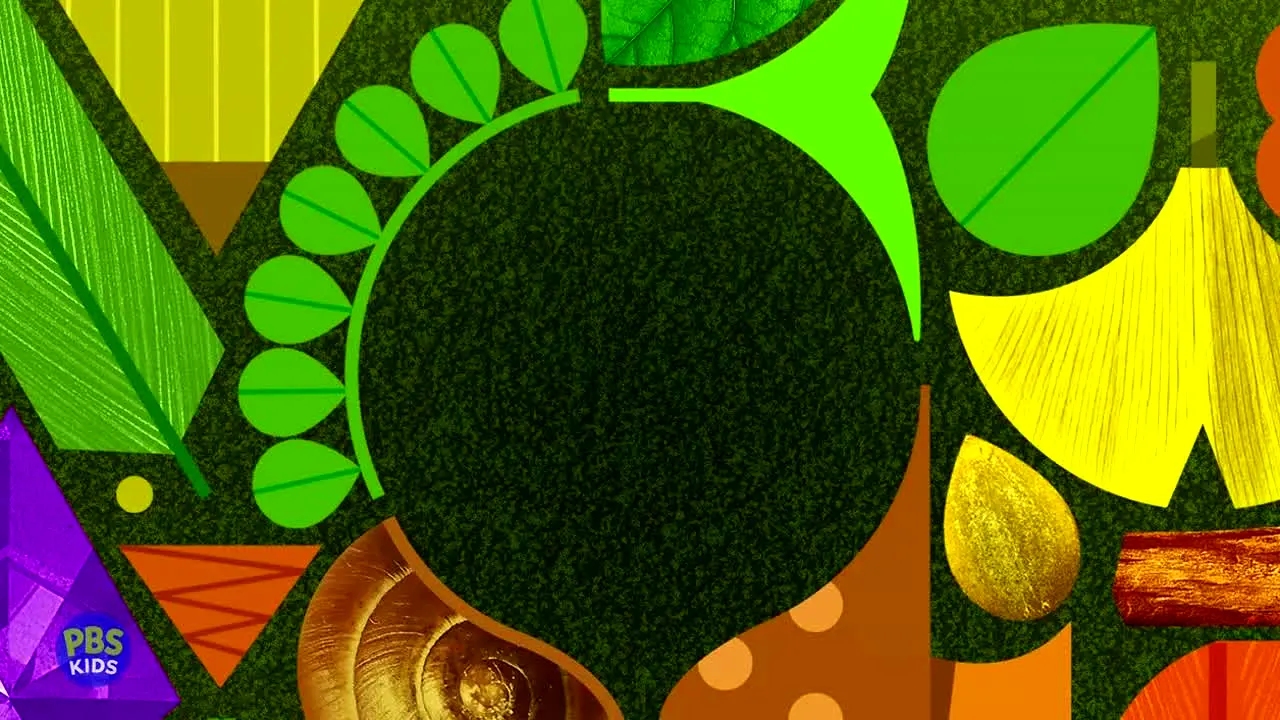 PBS Kids Pacific live