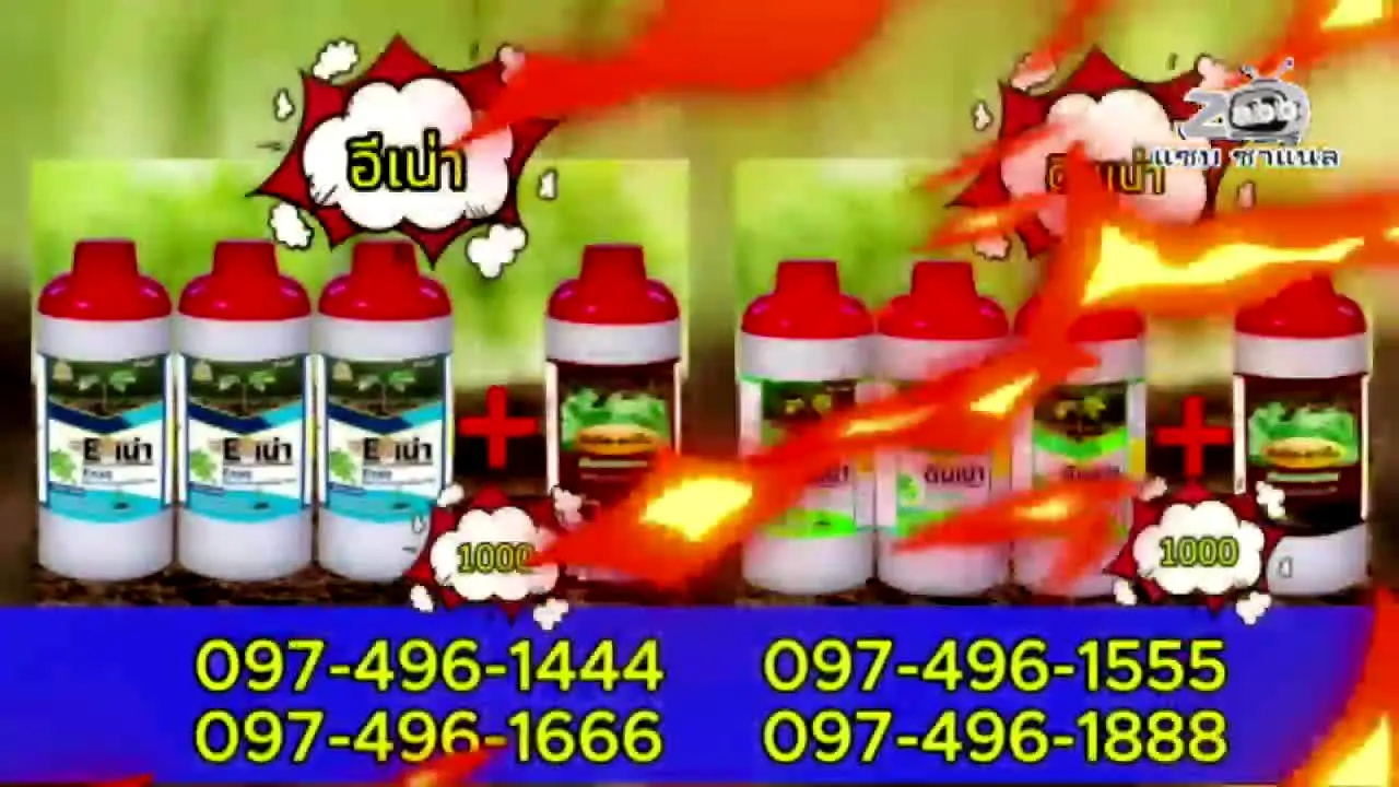 Zabb Channel en vivo