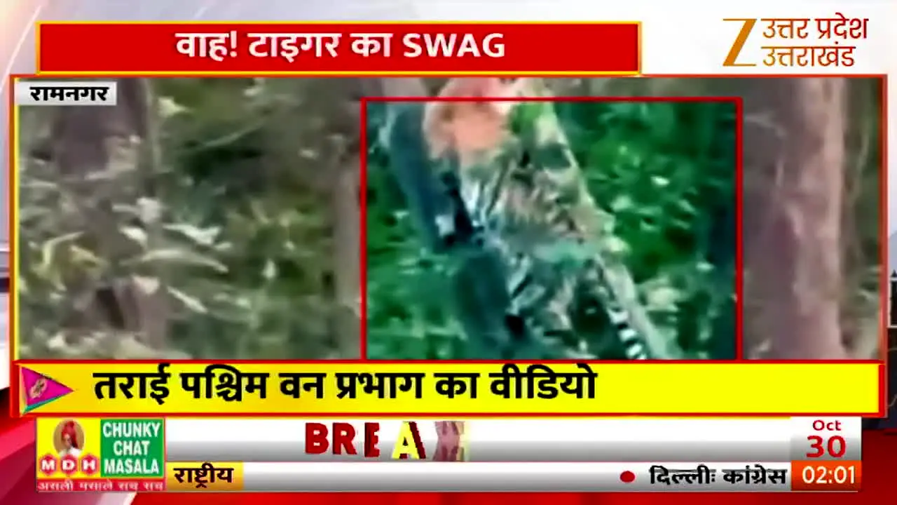 Zee Uttar Pradesh/Uttarakhand live