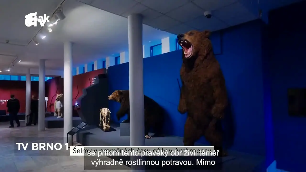 UTV ao vivo