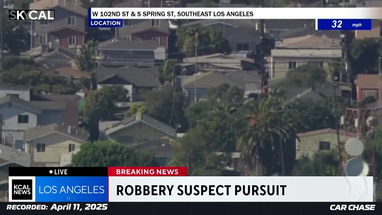 Car Chase live