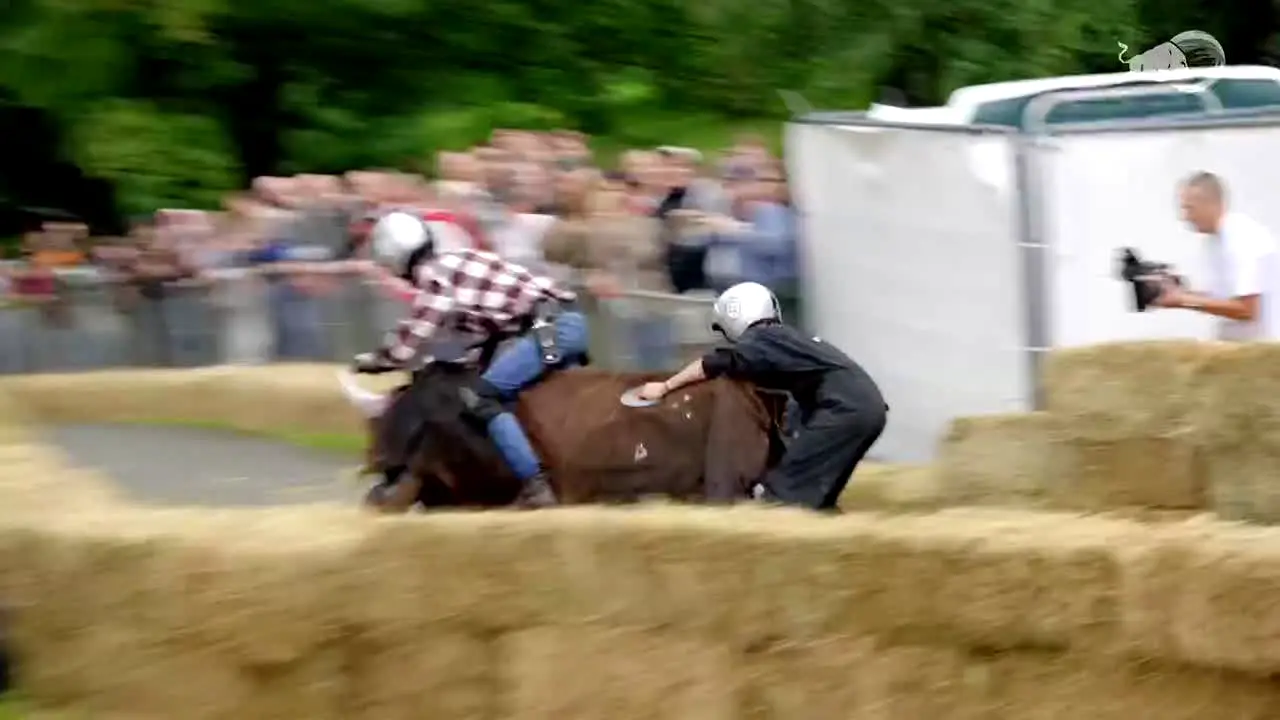 Red Bull TV live
