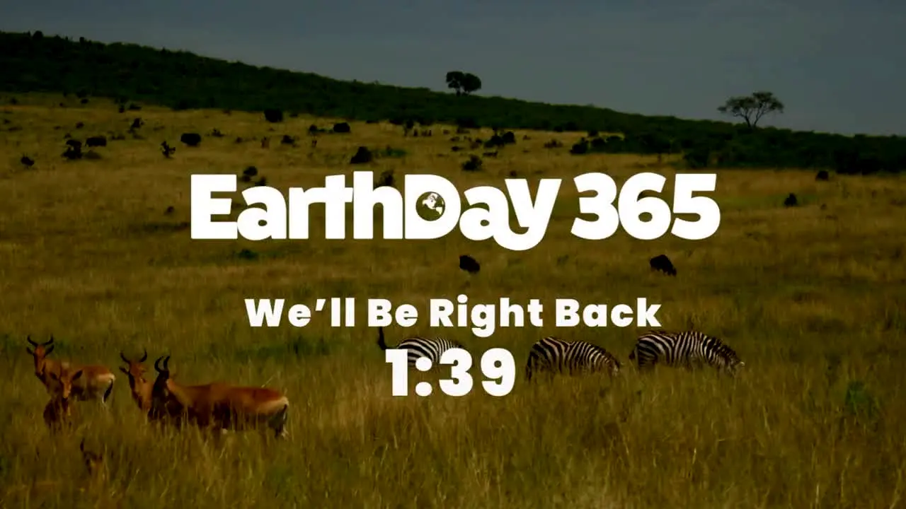 EarthDay 365 ao vivo