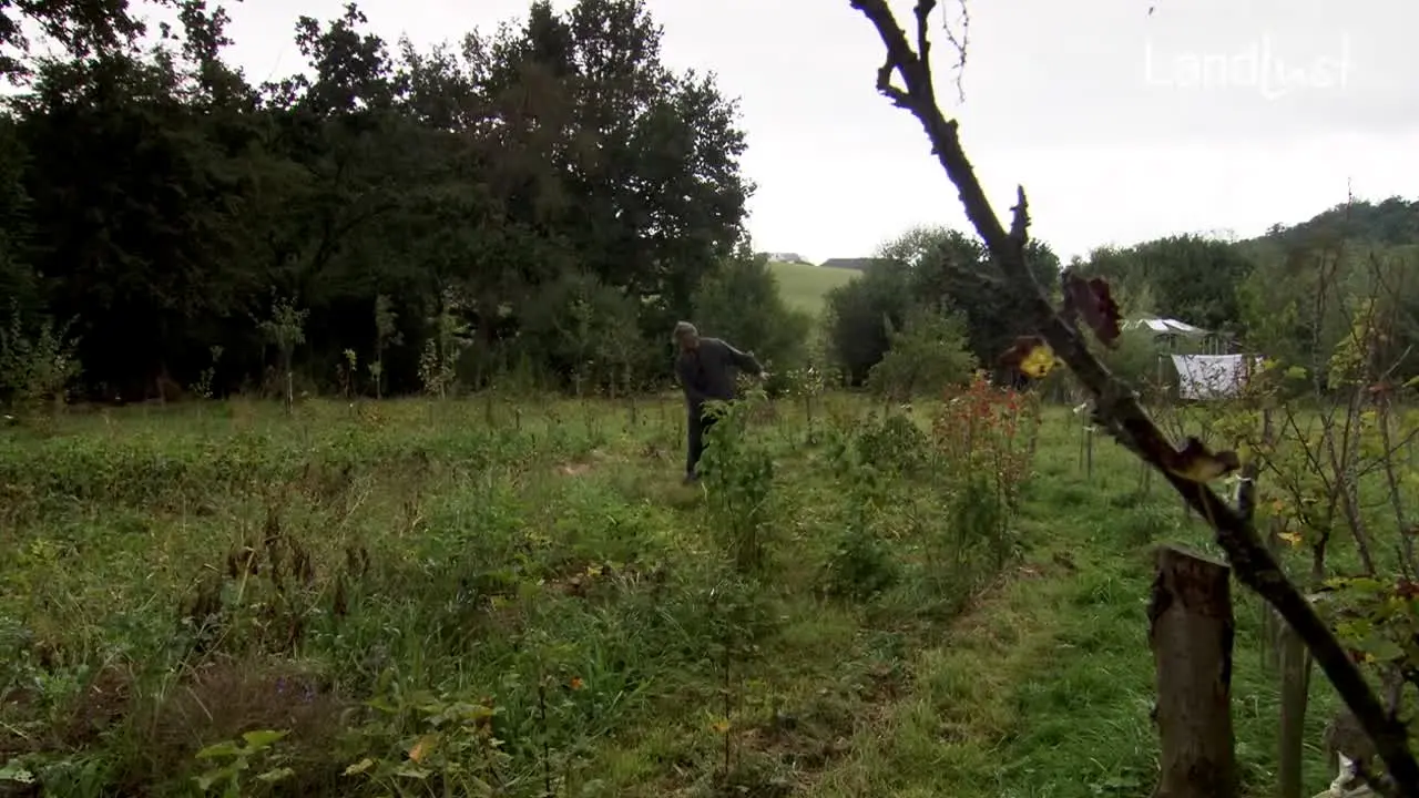 Landlust TV na żywo