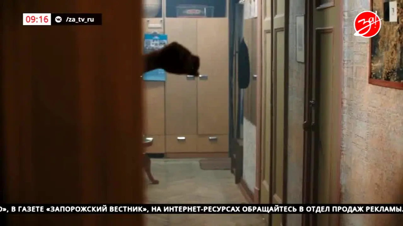 Za! TV live