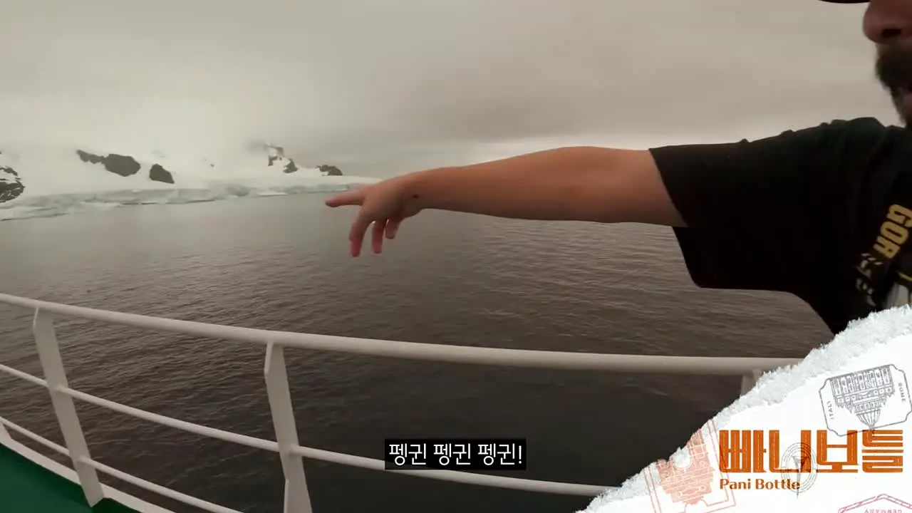 빠니보틀 na żywo