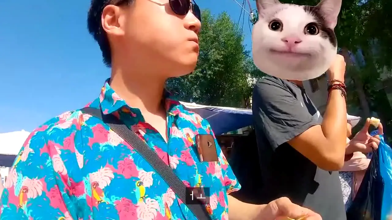 빠니보틀 ao vivo
